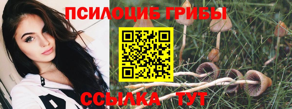 Галлюциногенные грибы Psilocybe  Вход с VPN  Брянск 