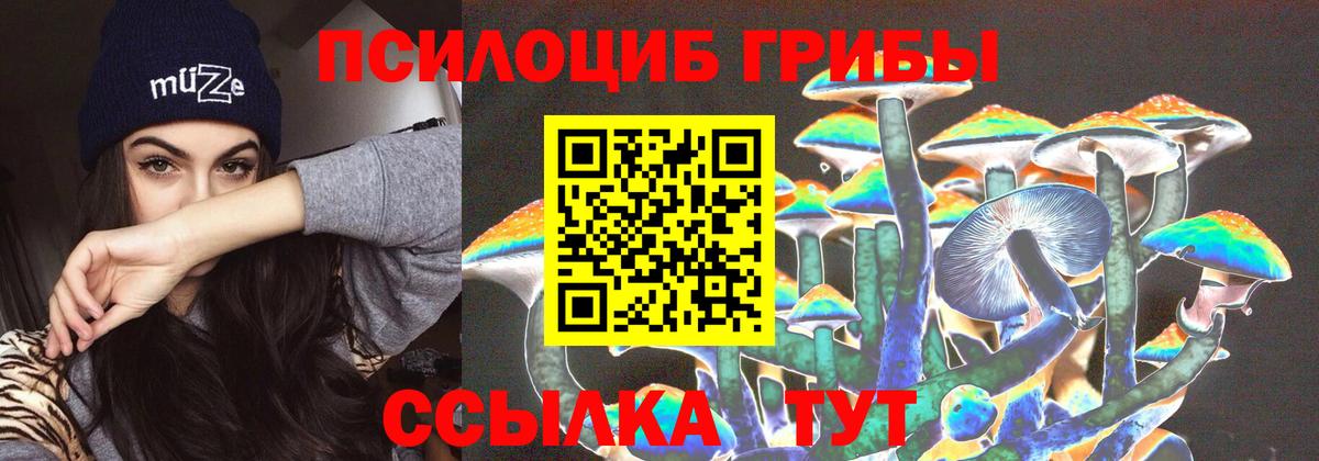 Галлюциногенные грибы Magic Shrooms Брянск