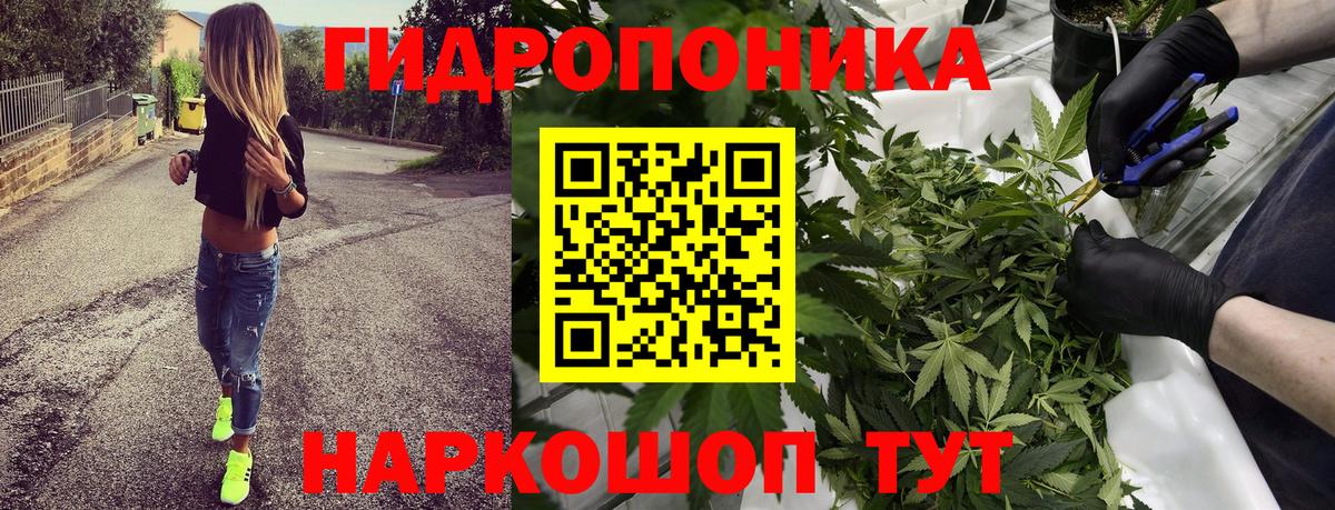 МАРИХУАНА OG Kush Брянск